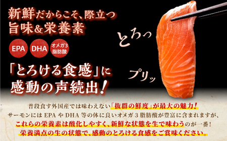 ＼高評価 4.9／ 国産 プレミアム ワンフローズントラウトサーモン 800g_T011-1232