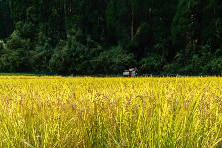 【田代農園】令和7年産 精米 10kg 田代さんのお米 銘柄おまかせ あきげしき ひのひかり こしひかり 産直 ノンブレンド米 単一原料 お米 白米 精白米 ヒノヒカリ コシヒカリ 熊本 阿蘇 小国町 産地直送 国産 日本産 地場産 贈答