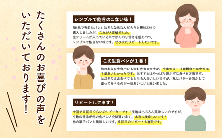 26-345．【月2回定期便】パンのピノキオ特製　ふんわり生食パン2本セット（合計12本）【毎月2回3カ月間(全6回お届け)】
