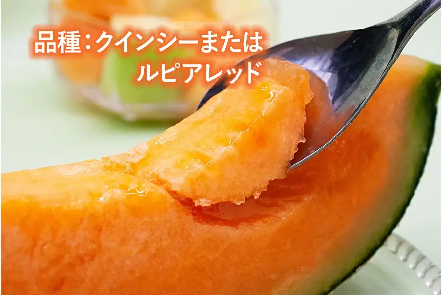 【令和8年産先行予約】 庄内砂丘メロン（赤肉）約4.5kg 2L～4L 【秀品】 3～5玉入 【令和8年7月上旬～7月下旬頃発送予定】山形県鶴岡産 紅花メロン　丸果庄内青果　| メロン めろん フルーツ 果物 くだもの 夏 旬 デザート 産地直送 山形 鶴岡 庄内 東北 人気 おすすめ 美味しい 国産 お取り寄せ 返礼品