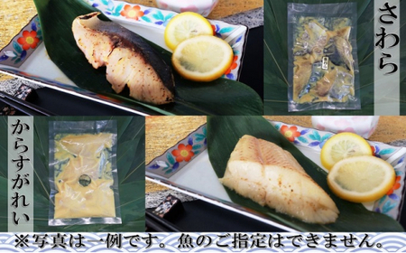西京漬 食べ比べ 21切 
