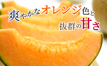 【2026年7～9月連続お届け】メロン 好き必見！ ふらの 赤肉 メロン3種 贅沢 定期便 北海道 富良野市 食べ比べ  (松本農園) メロン フルーツ 果物 新鮮 甘い 贈り物 ギフト 道産 ジューシー おやつ ふらの ブランド 夏 