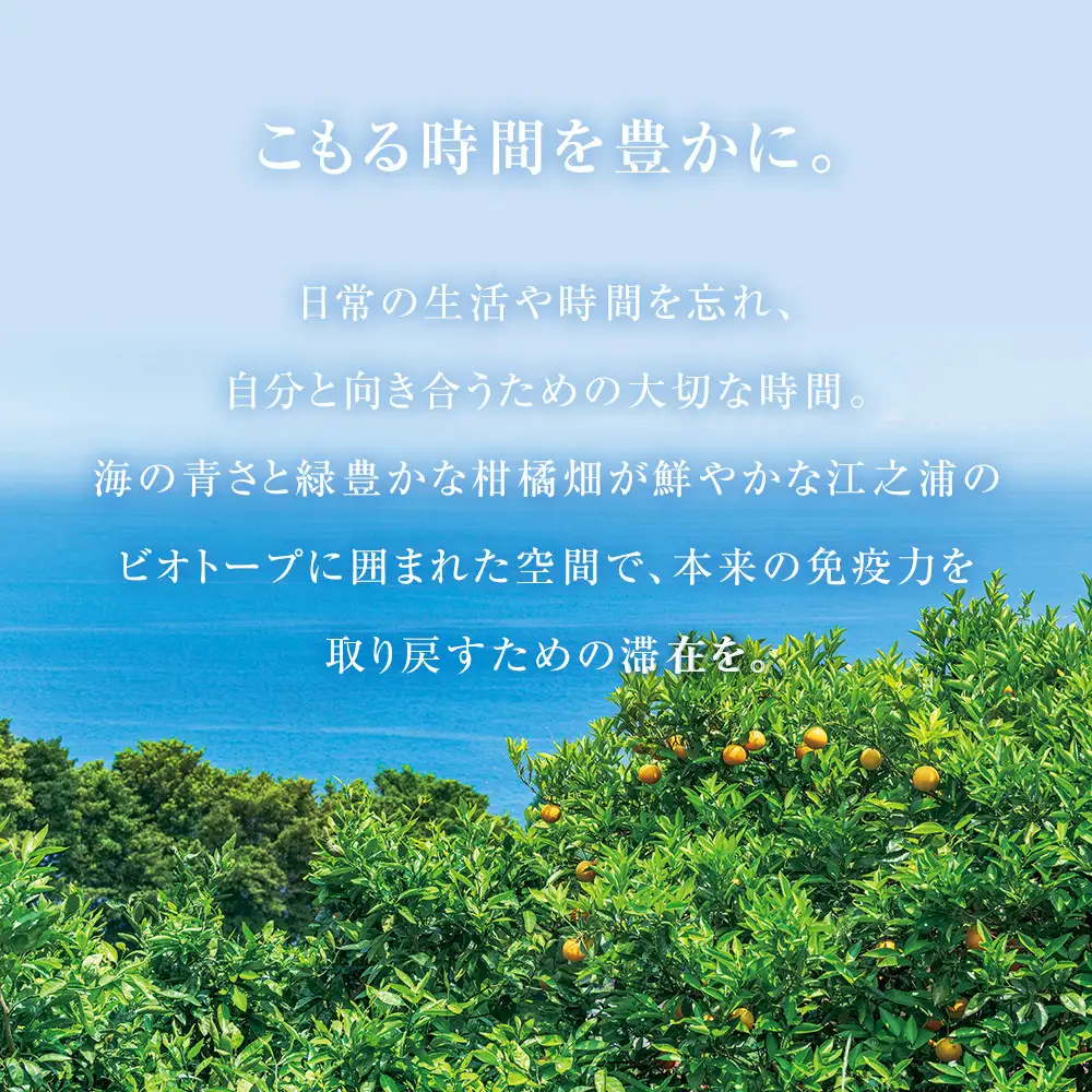 江之浦リトリート凛門　商品券（20万円分）【江之浦 お食事 ご宿泊 20万円分商品券 プレゼント 旅行 お祝い 凛門 絵のように美しい海岸 複数枚同時利用可 ルフロ湯治 美しい江之浦 リトリートホテル 神奈川県 小田原市 旅行 旅行】
