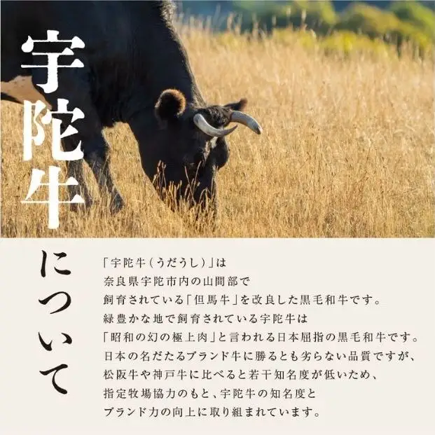 毎月定期便全3回 名産 認定肉 宇陀牛 国産 黒毛和牛 サーロイン ステーキ 5枚 計1kg / 山繁 ふるさと納税 牛肉 牛丼 しゃぶしゃぶ 人気 寄付 ランキング おすすめ グルメ 肉 返礼品 送料無料