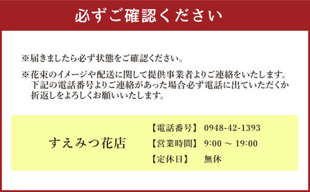 【定期便 6回】”松竹梅の竹セット”届いたら、いつもの花瓶に入れるだけ！ 簡単管理 の おしゃれ ブーケ ♪初回 花瓶 付き、毎回延命剤付き！！ 花 生花 花束