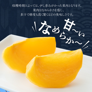【10月発送】池尻農園　太秋柿　9玉～14玉　約3kg_柿 甘柿 太秋柿 9玉 ～ 14玉 約 3kg 種が少ない 池尻農園 シャキシャキとした食感 さっぱり 多汁 高い糖度 国産 フルーツ 果物 福岡県 久留米市 お取り寄せ お取り寄せフルーツ 食品 食べ物 送料無料 〔Fk012〕