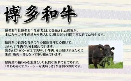 【福岡の国産黒毛和牛】博多和牛の焼肉・BBQお楽しみ定期便【全６回】　072-T063