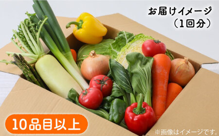 【6回定期便】野菜定期便 10品目以上 野菜定期便 / ミナサポ  [SCW046]