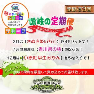 【定期便3回Aコース】 フルーツ セット 定期便 ( いちご 約250g × 4パック & 桃 約2kg & みかん 約5kg × 3ヶ月 )  ｜産直あきんど 坂出産 創業100年
