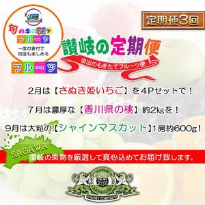 【定期便3回Cコース】 フルーツ セット 定期便 ( いちご 約250g × 4パック & 桃 約2kg & シャインマスカット 1房 約600g以上 × 3ヶ月 ) ｜産直あきんど 坂出産 創業100年