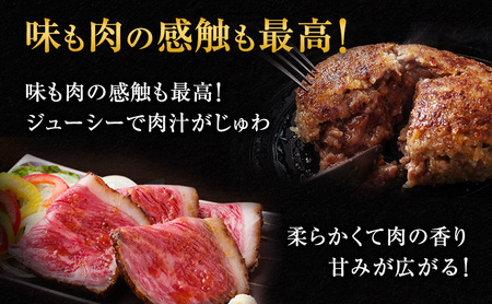 ハンバーグ 8個 ＆ ローストビーフ 250g 食べ比べ 黒毛和牛 A5 使用 手ごねハンバーグ 温めるだけ 