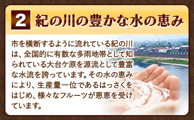 ご家庭用 はっさく 約5kg (サイズ不選別) 