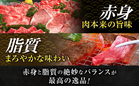 葉山牛 牛肉切り落とし 300g×3パック 牛肉 [AKAG002]