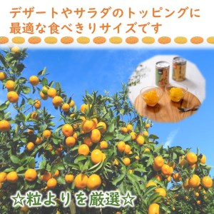 松浦のさば3種と長崎みかん缶セット【ギフト箱入り】( 保存食 非常食 防災 備蓄 長期保存 )【B1-137】