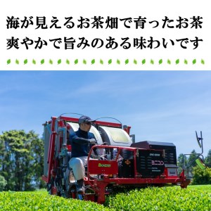 松浦のお知家(お茶ペットボトル)と手間なし本格派緑茶(ティーバッグ)セット【B1-139】