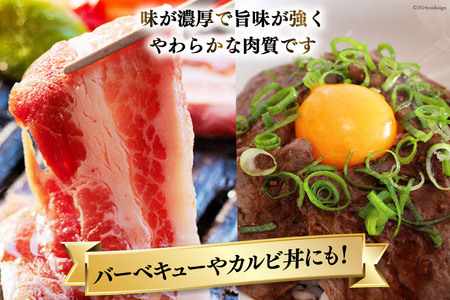 【宮崎牛】 カルビ 焼肉 500g×2 計1kg [ローカルブランディング 宮崎県 美郷町 31bb0034]