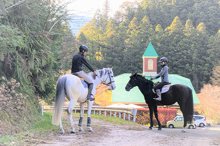 動物ふれあい＆乗馬体験 『わくわくコース』約30分 1名【徳島県 那賀町 乗馬 馬 動物 体験チケット 体験型 観光乗馬 ふれあい 観光 旅行 遊び アクティビティ お出かけ レジャー アウトドア アニマルセラピー 癒し リフレッシュ クラブコルツ】CC-2