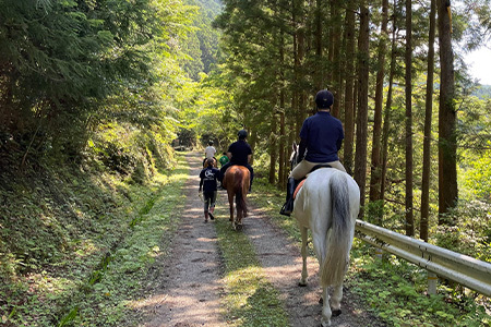 動物ふれあい＆乗馬体験 『わくわくコース』約30分 2名【徳島県 那賀町 乗馬 馬 動物 体験チケット 体験型 観光乗馬 ふれあい 観光 旅行 遊び アクティビティ お出かけ レジャー アウトドア アニマルセラピー 癒し リフレッシュ クラブコルツ】CC-3