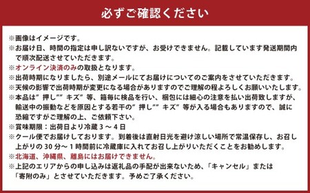 【ハウス栽培】ニュー ピオーネ 3房入り （1房 580g以上） 【2026年7月上旬～8月下旬 発送予定】【葡萄 ぶどう ニューピオーネ 果物 フルーツ 国産 人気 おすすめ 岡山県 倉敷市】