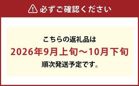 【無加温栽培】岡山県産桃太郎ぶどう1房入り（1房680g以上）【ぶどう 葡萄 人気フルーツ 岡山フルーツ おすすめフルーツ 岡山県 倉敷市】【2026年9月上旬～10月下旬 発送予定】