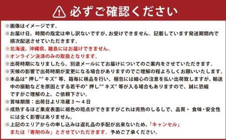 シャインマスカット晴王 1房（680g以上） 加温栽培【2026年7月上旬～8月上旬まで順次発送予定】【シャインマスカット シャイン マスカット 人気フルーツ 岡山フルーツ おすすめフルーツ 岡山県 倉敷市】