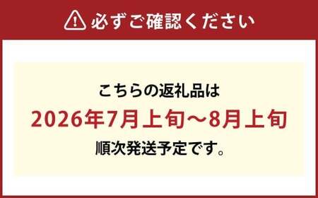 葡萄詰合せ（シャインマスカット 晴王 2房（1房 580g以上）・ ニューピオーネ 1房（580g以上） ハウス栽培【2026年7月上旬～8月上旬まで順次発送予定】葡萄 ぶどう ブドウ ピオーネ マスカット フルーツ