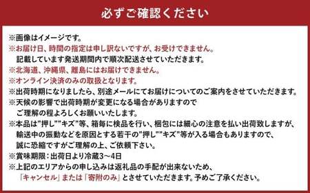 【露地栽培】岡山県産ニューピオーネ 3房入り（1房580g以上）【2026年9月上旬～10月下旬 発送予定】【葡萄 ぶどう ニューピオーネ 果物 フルーツ 国産 人気 おすすめ 岡山県 倉敷市】