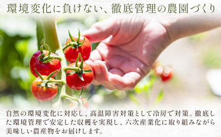 トマト 華こまち フルーツトマト 200g×4パック