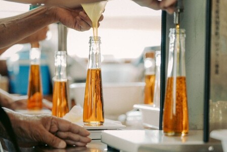 数量限定 種子島 種子の実 オイル ( 茶 オイル 120ml)　NFN391【850pt】
