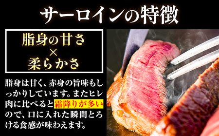 博多和牛 サーロインステーキ 500g（250g×2枚）株式会社エム・ケイ食品《30日以内に出荷予定(土日祝除く)》福岡県 鞍手郡 鞍手町 ステーキ 肉 サーロイン 牛肉 牛