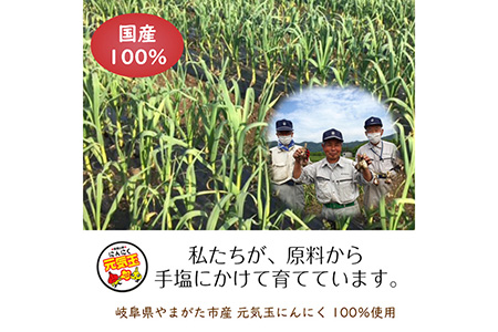 にんにくチップ　国産　無添加　150g [No.659]