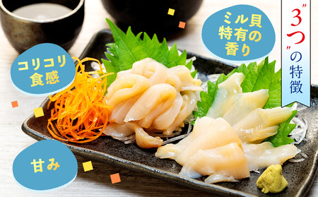 岬だより 貝専門店 天然 白ミル貝 100g×3袋 魚貝