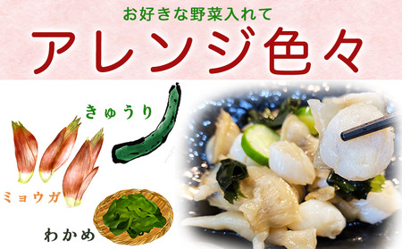 岬だより 貝専門店こだわり 平貝の酢の物 10袋セット [配送不可地域：離島]