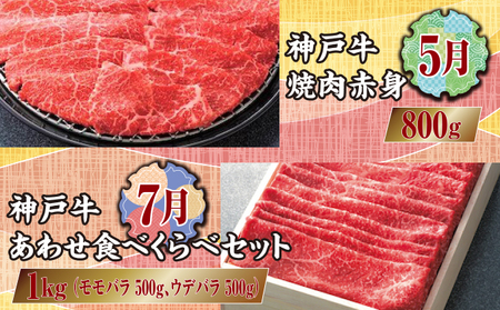  定期便 神戸牛 食べ比べDコース（6回お届け）