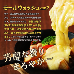 北海道十勝芽室町 なまら十勝野 季節のおまかせ野菜 ラクレットチーズ200g セット　詰め合わせ 産地直送 新鮮 お取り寄せ 国内生産 贅沢 芳醇 まろやか チーズ ディナー 北海道 十勝 芽室町　me000-004c