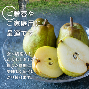 【2026年発送】 極上品　大玉西洋梨約1.5㎏（4～8個） [h039]