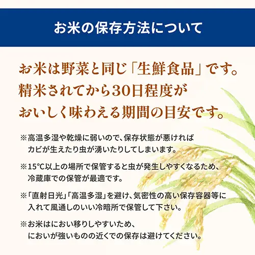ブレンド米 10kg とねさかい 令和8年6月内発送  茨城県産 K2632
