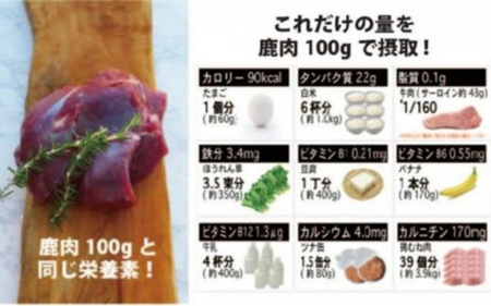 【予約受付】天然芭蕉鹿 特上赤身ロース肉500g【sris0001】