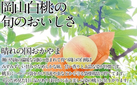 桃 2026年 先行予約 岡山の白桃 200g以上×8玉 白桃
