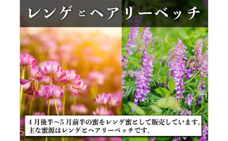 はちみつ レンゲ 1本 1.2kg 百花 1本 1.2kg 蜂蜜