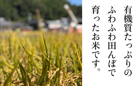 グルテンフリーを実践している農家が作った 米粉 2kg と 米「ひのひかり」5kg のセット 岡山県 瀬戸内市産 石黒農園 ご飯 銘柄米 炭水化物 白米 ライス 主食 和食 おにぎり お弁当 産地直送 製菓向き 瀬戸内市産米の米粉 