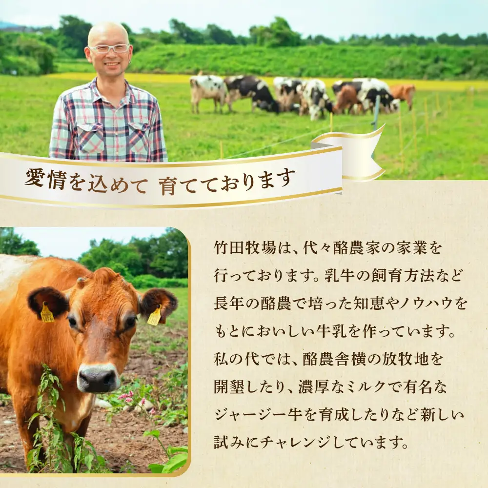 ジャージー牛乳の濃厚ジェラート！竹田ジェラート｜濃厚ミルク味｜2000ml