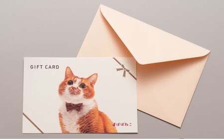 ぽぽねこギフト券（封筒タイプ）9,000円分「共通返礼品」  商品券 オンラインショップ 猫 ネコ