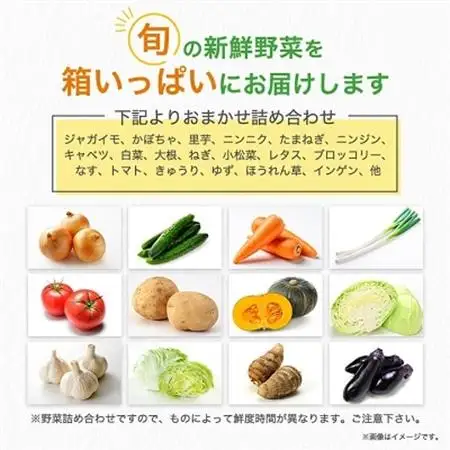 旬の野菜詰め合わせセット(石安米肥店)_おまかせ 詰め合わせ 旬 旬野菜 季節の野菜 新鮮 産地直送 産直野菜 人気 美味しい 送料無料_【配送不可地域：離島】【1017731】