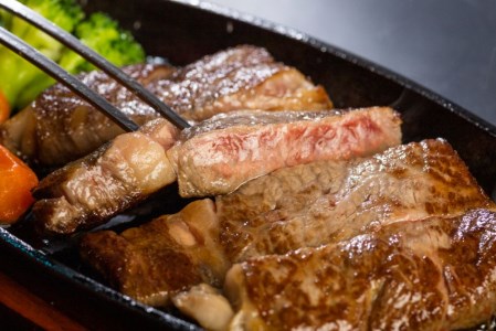 白川郷 飛騨牛 リブロース ステーキ 200g×4枚 計800g ステーキ [S375]