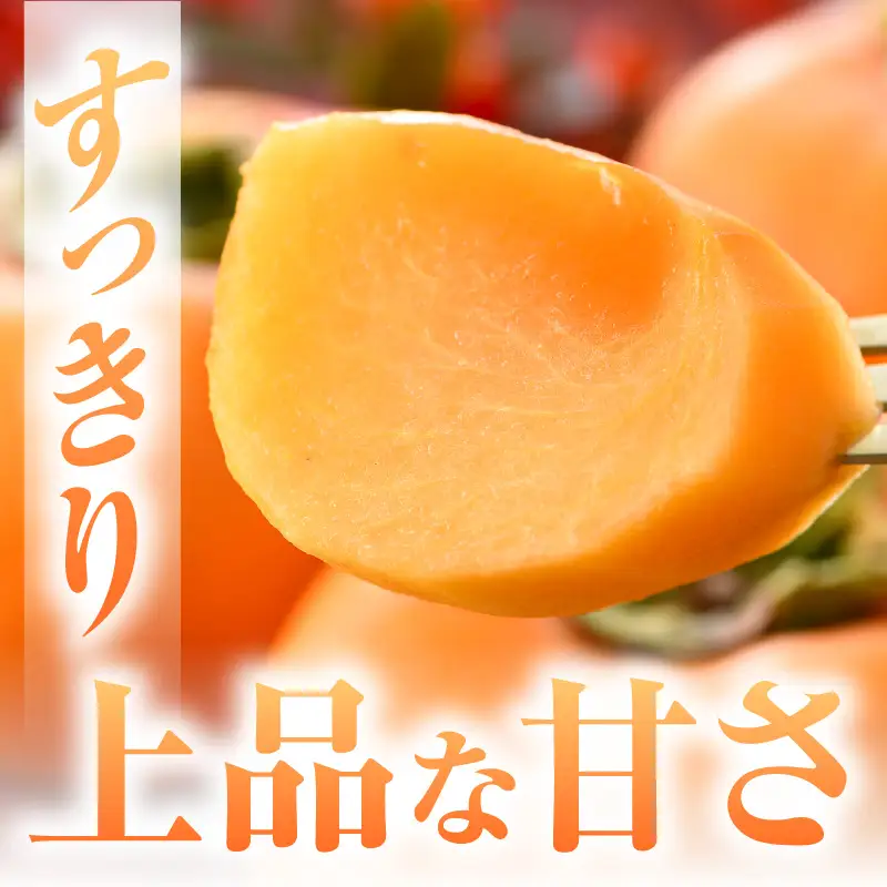 【先行予約】越前柿 16個入 約2.5kg（M～2L）≪JA受賞歴親子２代≫ ／ 果物 フルーツ 柿 産地直送 期間限定 あわら ※2026年11月上旬より順次発送 [aw061-a003]