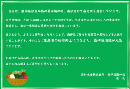 【先行予約＿2026年出荷分】初夏の香り 甘夏10kg箱　【 甘夏 】