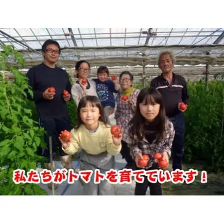 栗田温室農園の王様トマト(4kg箱×2)農林水産大臣賞受賞!【配送不可地域：離島・沖縄県】【1376949】