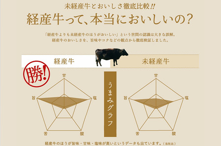 【累計2万パック突破！】但馬牛経産牛「焼肉用」（肩・モモ）1kg(500g×2)　020AA11N.／焼肉セット 黒毛和牛 いちかわ精肉店 経産牛 牛肉 国産 bbq バーベキュー 焼肉セット FN-Limited-WE