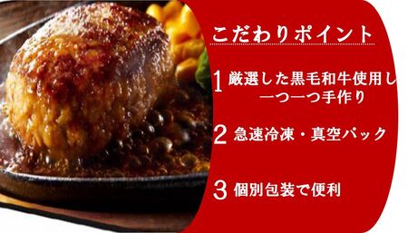 [黒毛和牛100%] 手作りハンバーグ 6個セット (120g×6個) [0440]